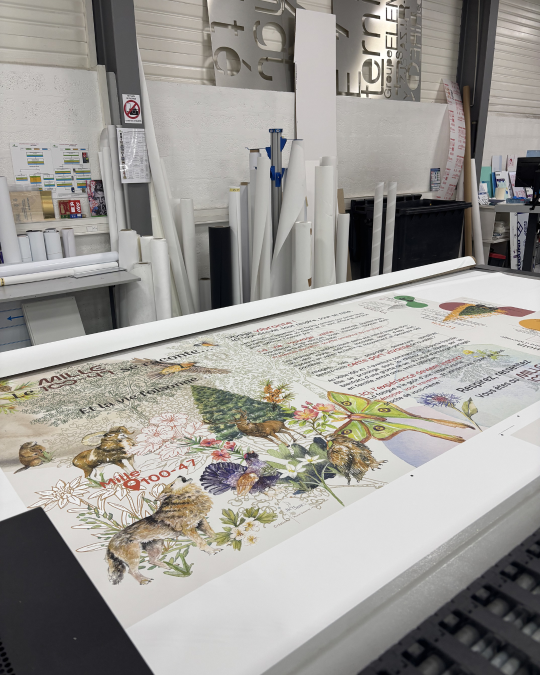 Fresque-murale-pour-lhotel-Mille-100-47